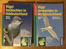 Vögel beobachten in Norddeutschland // Ostdeutschland