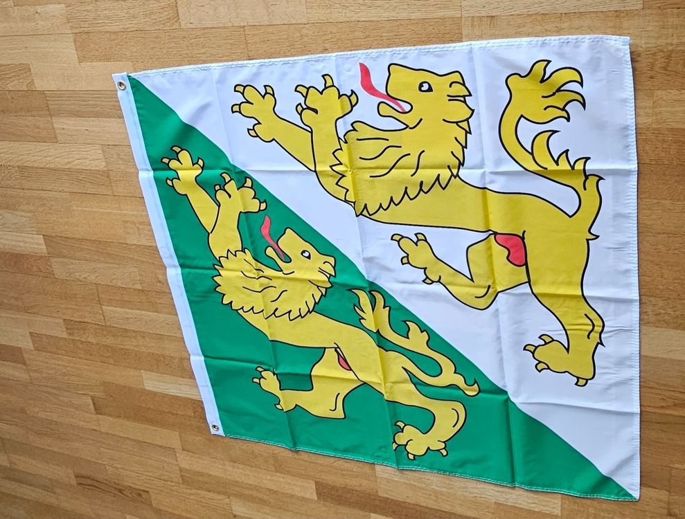 Fahnen: Thurgauer Kantonsflagge, Neu und Originalverpackt, 90x90cm – Neu und originalverpackt aus Kreuzlingen von UAE 8