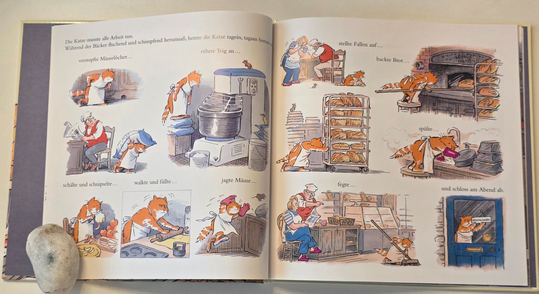 Libri: DIE KATZE DES BÄCKERS von Posy Simmonds – Nuovo (secondo la descrizione) da Dürnten venduto da Bachtelrider_ 5