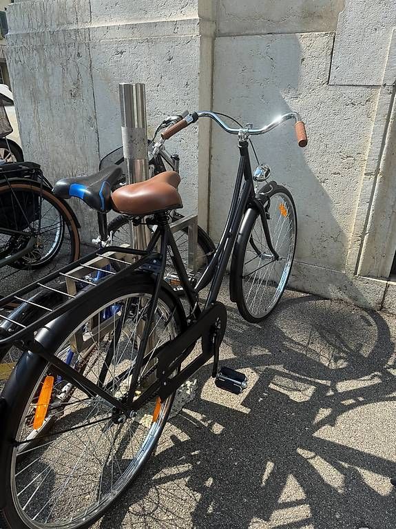 Velos: Vélo vidaXL Uljana – Gebraucht aus Biel/Bienne von ani_g9hl