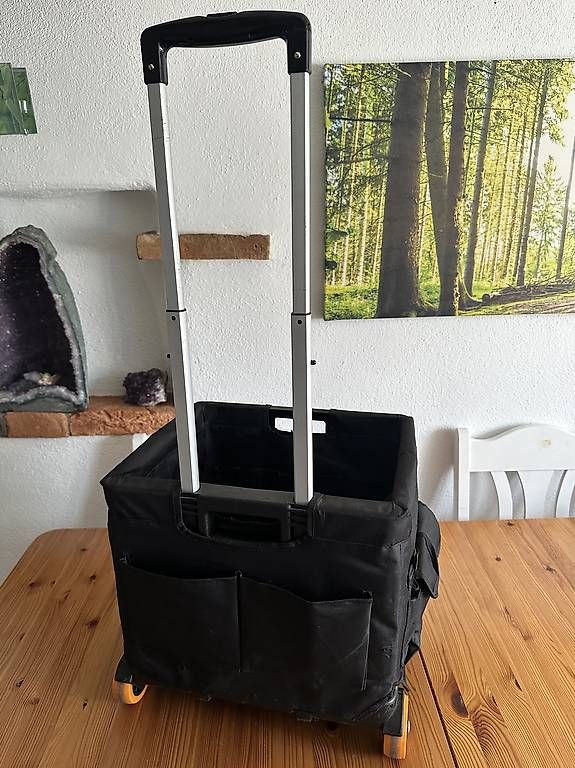 Altro per la casa: Einkaufswagen – Usato da Rebstein venduto da Svnb03 1