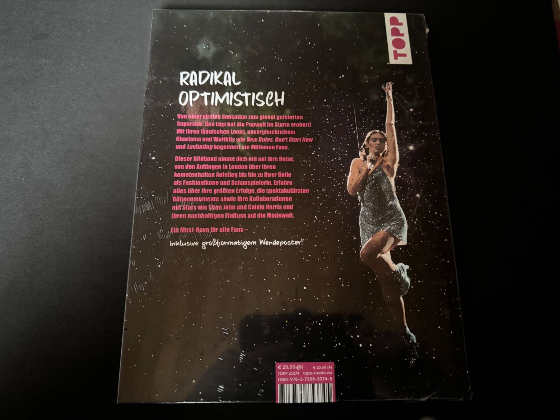 Livres: DUA LIPA FANBUCH – Neuf avec emballage d'origine à Hägendorf par bri_v995 1