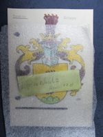 BRUHIN SCHWYZ FAMILIENWAPPEN KARTE ALT HANDBEMALT