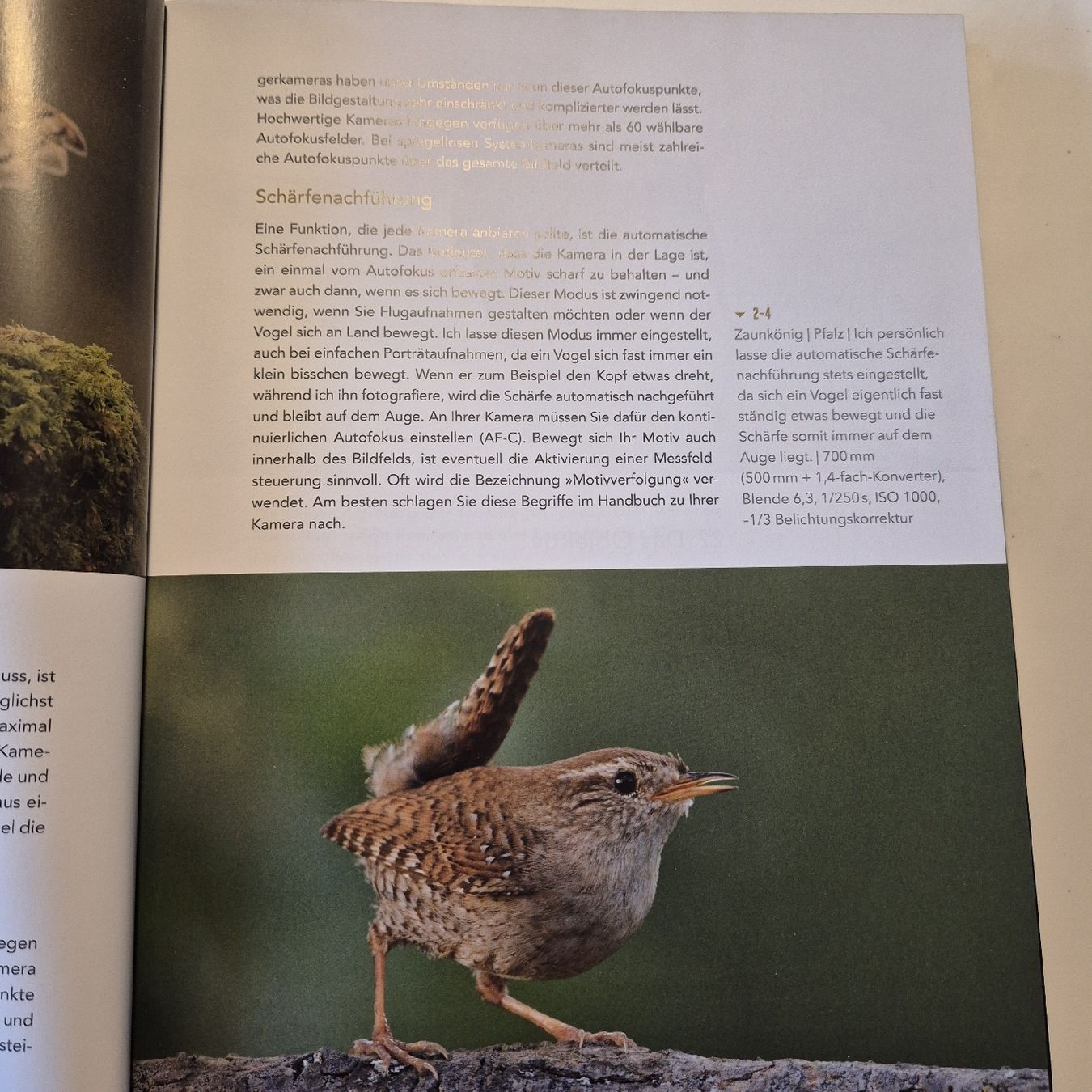 Libri: Faszination Vogelfotografie – Nuovo (secondo la descrizione) da Weinfelden venduto da piadesha 2