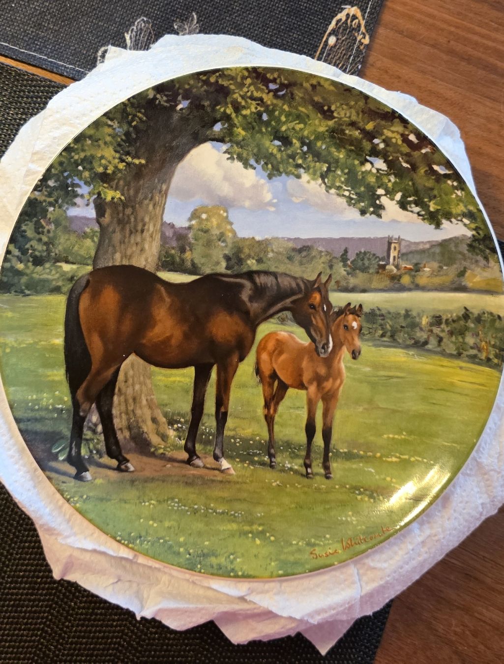 Assiettes: Teller aus Sammlung – D'occasion à Bäretswil par mar_py98