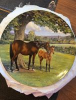 Teller aus Sammlung