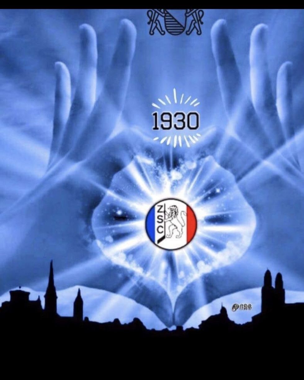 Tickets: ZSC Ticket Heimspiel Stehplatz – Neu (gemäss Beschreibung) aus Schindellegi von roli87