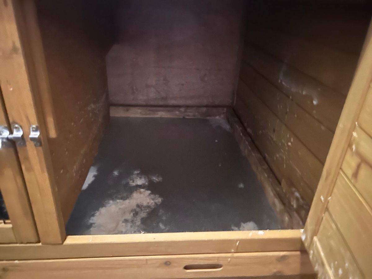 Käfige, Transport & Sicherheit: Kleintierhaus Holz – Gebraucht aus Langnau i. E. von Acrjl 4