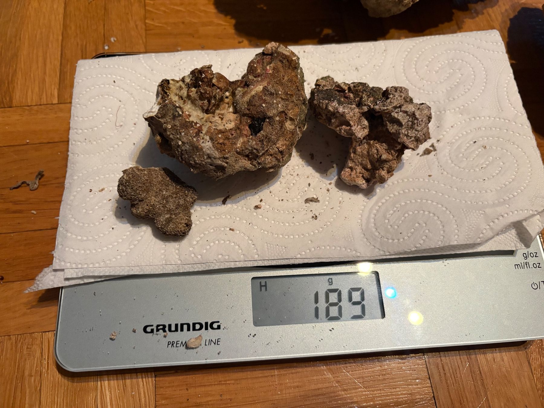 Aquarium: Totes Lebendgestein für Aquarium – Gebraucht aus Genève von papillon2976