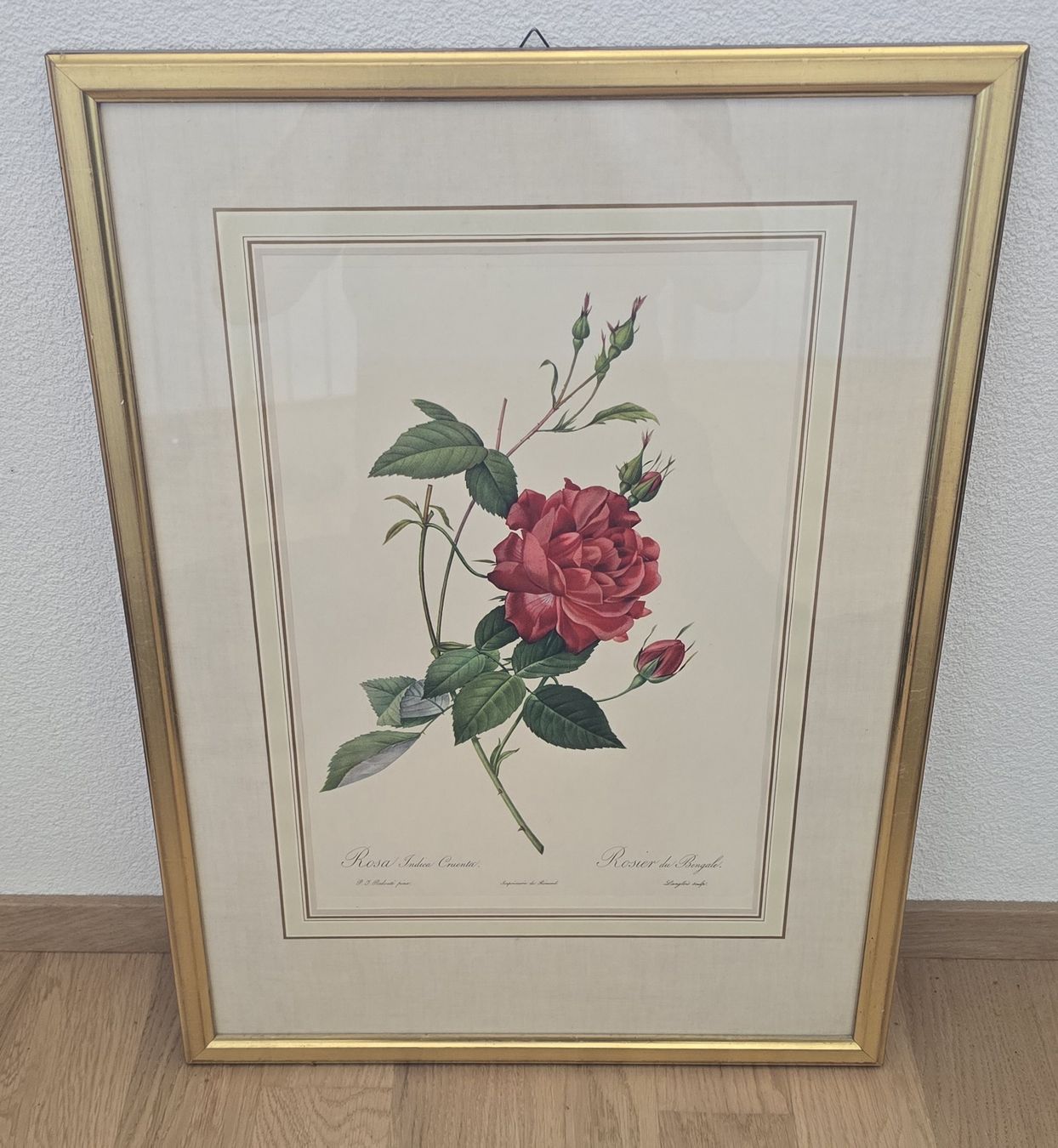 Foto & Immagini: Bild von Rose – Usato da Ueberstorf venduto da andrea898