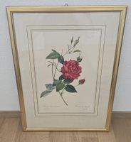 Bild von Rose