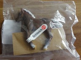 Schwarzwälder Fohlen von Schleich