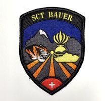 Patch Schweizer Armee Panzer Grenadier