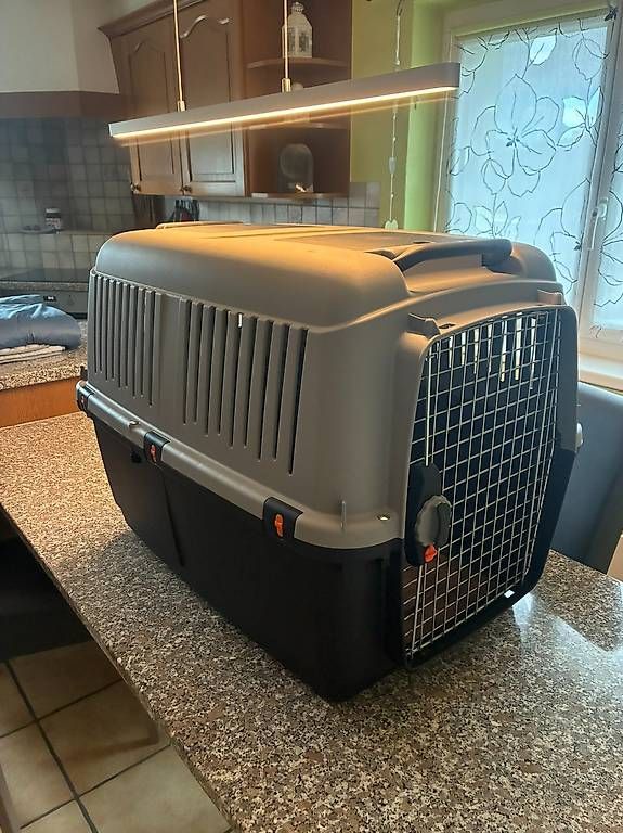 Cucce & Letti: Hundebox Kunststoff mit Türgitter – Nuovo (secondo la descrizione) da Seon venduto da Maerkli1