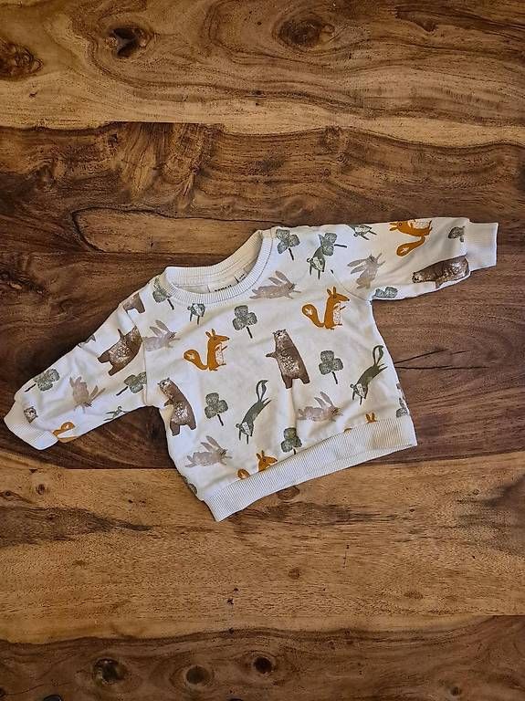 Maglioni & Felpe: Pullover mit Tiermotiven von Name it, Grösse 56 – Usato da Bremgarten AG venduto da Noii