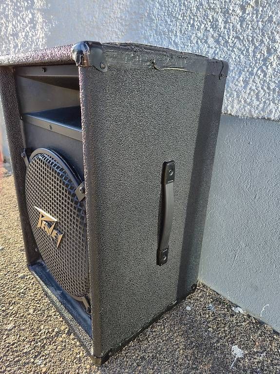 Haut-parleurs: Peavey ES-15 – D'occasion à Court par famille_schaer 1