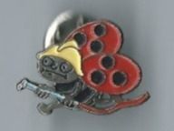 Blick Käfer, PIN