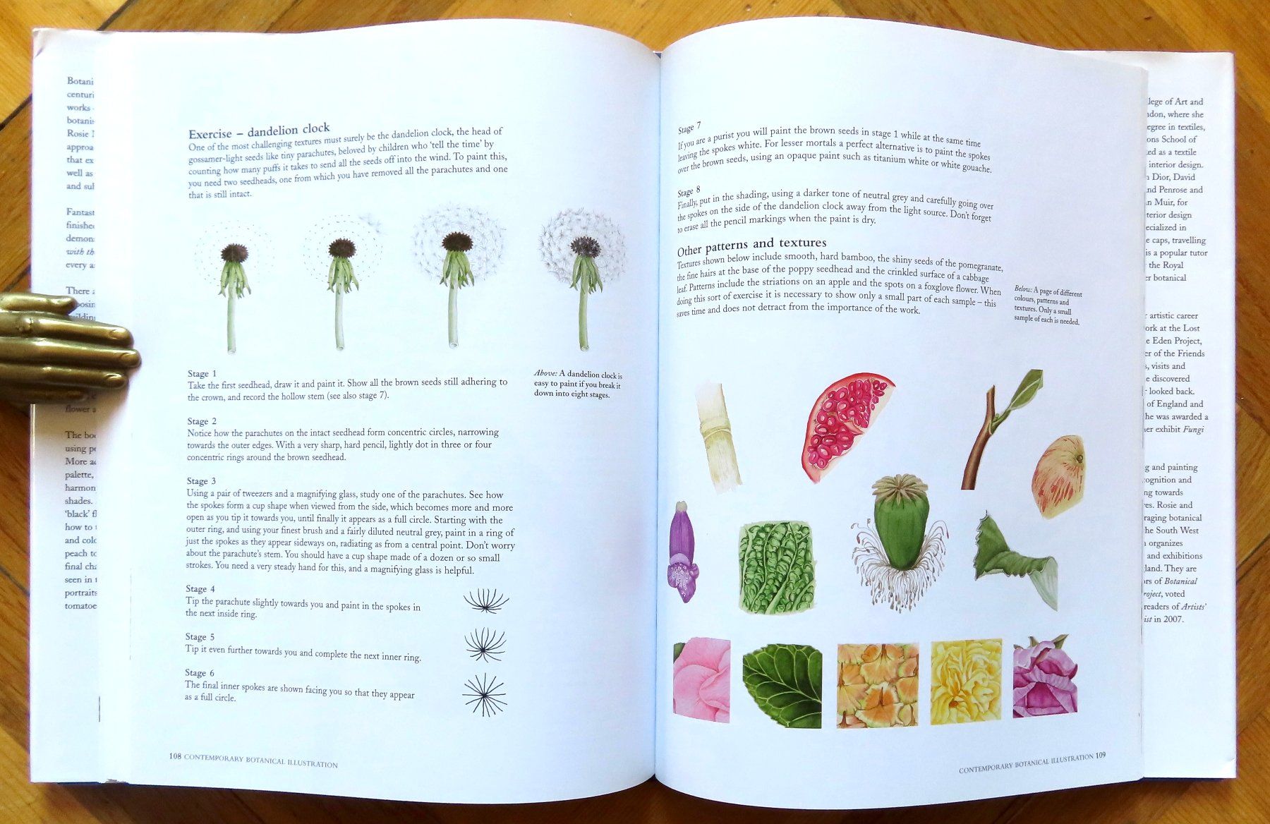 Libri: Contemporary Botanical Illustration – Usato da Le Locle venduto da LibrairieLaBergerie 4