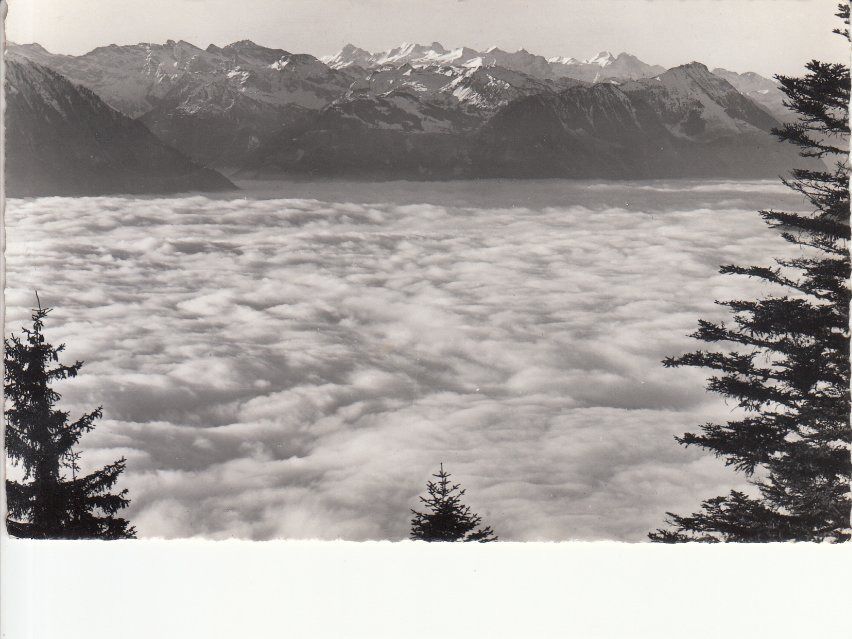 Cartoline postali: Rigi Nebelmeer 1953 – Usato da Bürglen TG venduto da StampGraf