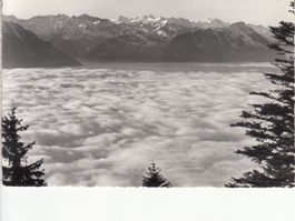 Rigi Nebelmeer 1953