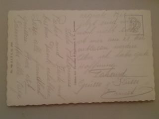 Cartoline postali: Kühe auf den Alpen Berge – Usato da Sargans venduto da nicsam1815 1