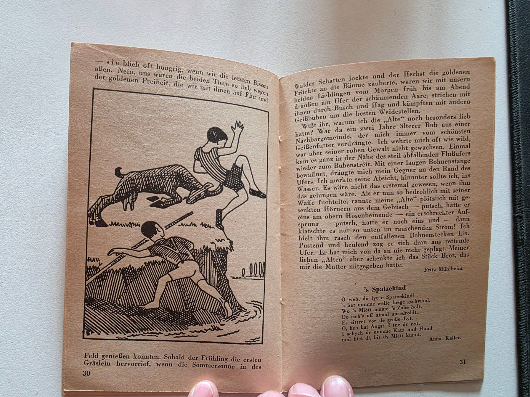 Bücher: Schweizerischer Tier Schutz Kalender 1933 – Gebraucht aus Walterswil BE von Lonitti 3