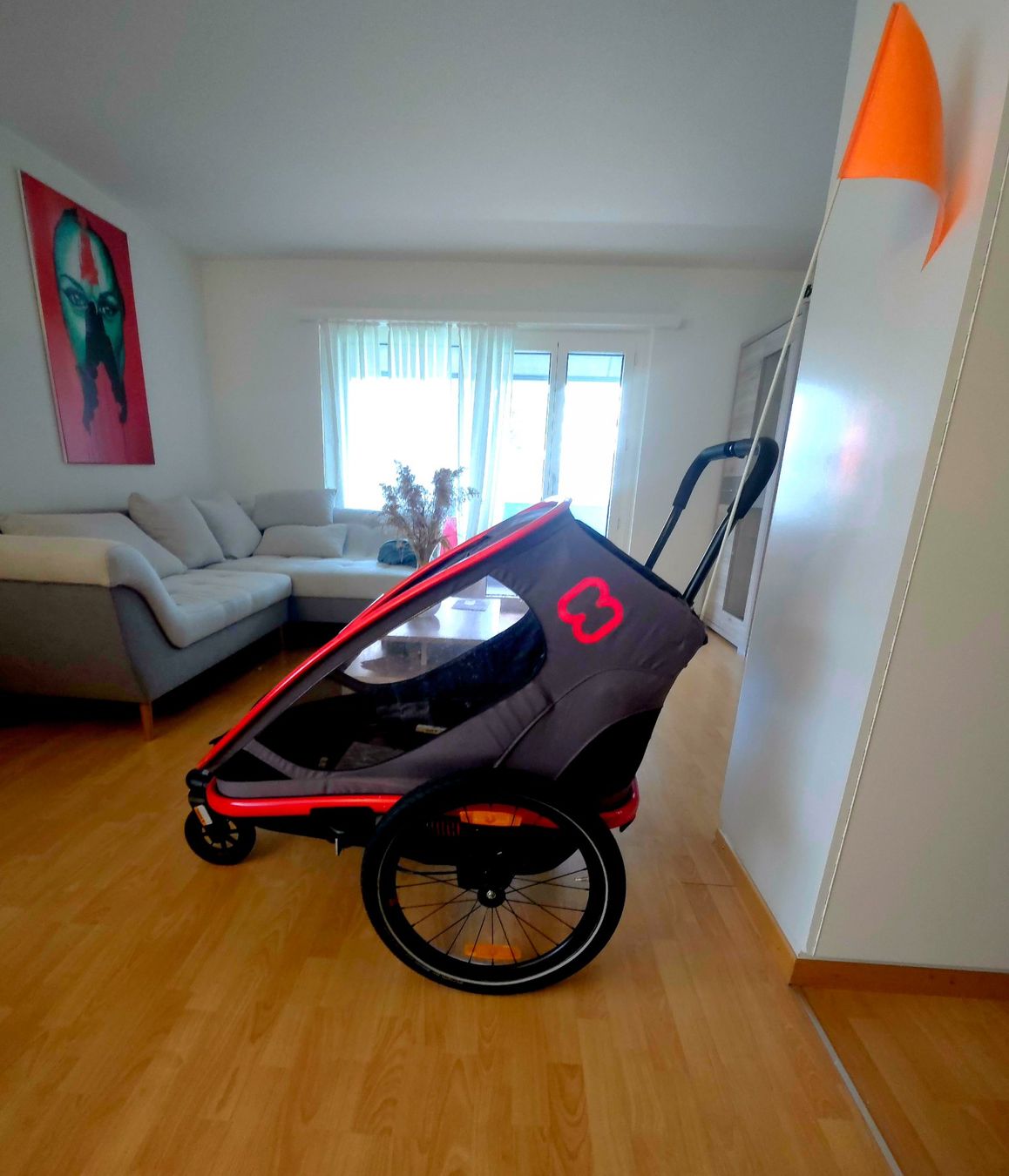Hamax Poussette: Hamax Outback 2 in 1 – D'occasion à Zollikofen par Mobelix_Vintage8 1