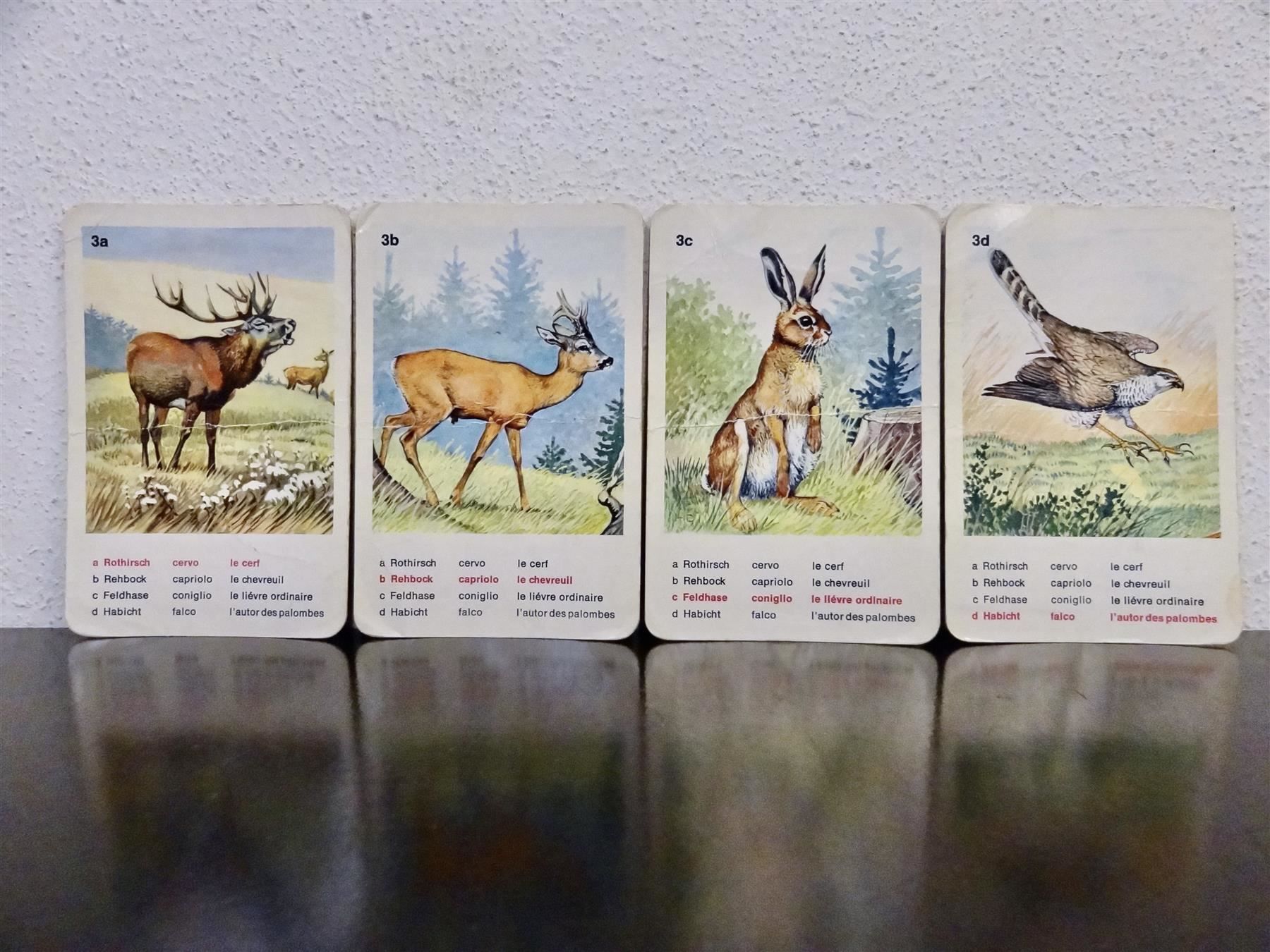 Ravensburger Spiele: schönes altes Quartett TIERWELT – Gebraucht aus Kerzers von wisaundso 5