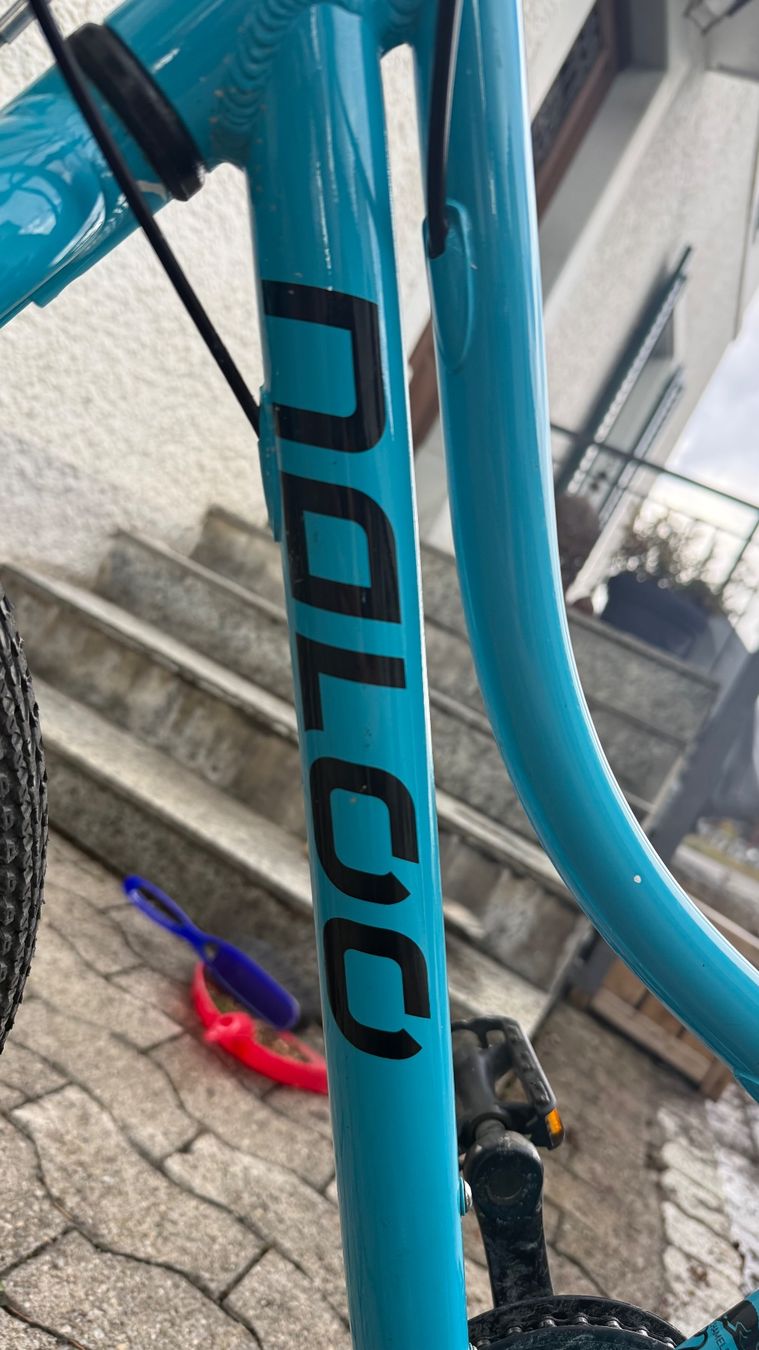 Naloo Biciclette: Naloo Kindervelo – Usato da Wetzikon ZH venduto da jon_gw8f 4