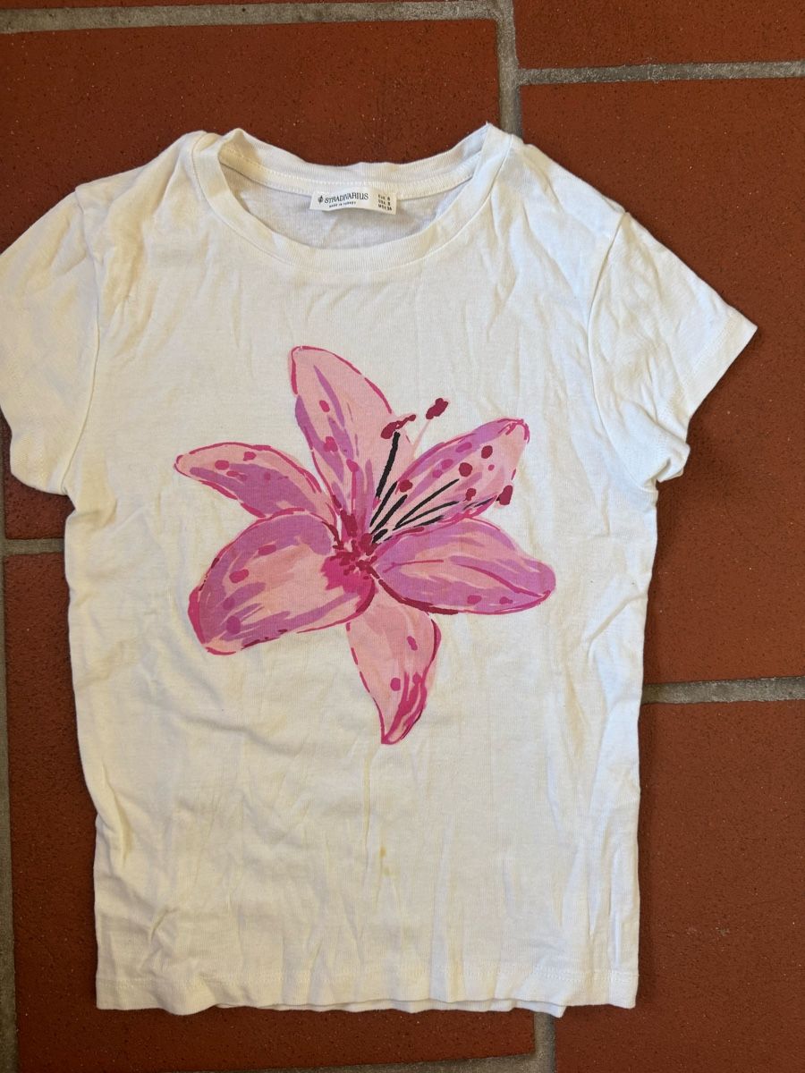 Stradivarius T-shirt: Shirt – Usato da Ebmatingen venduto da F.Bullet