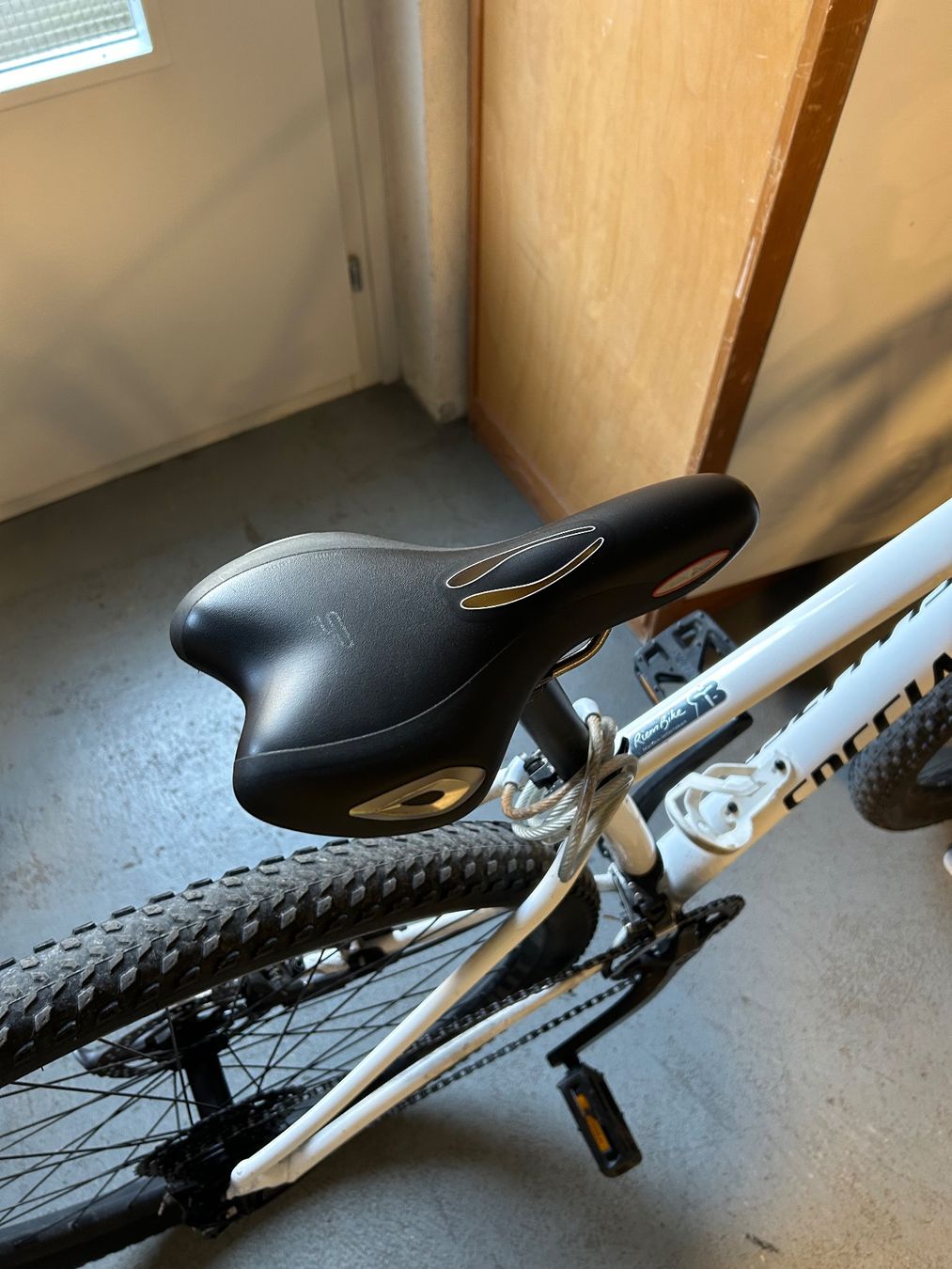 Specialized Velos: Specialized Rockhopper Expert – Gebraucht aus Heimberg von saivaa 3
