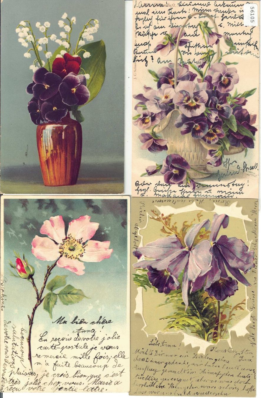 Cartoline postali: 4 AK - Blumen – Usato da Ettingen venduto da Kartenplanet