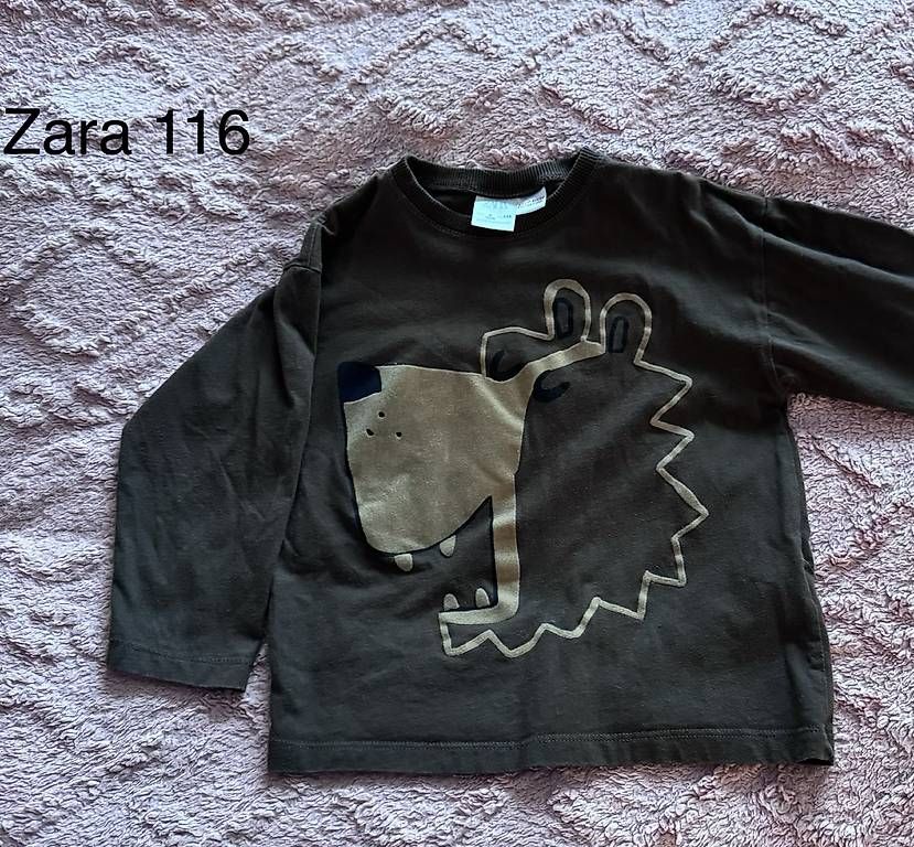 Pullover & Sweatshirts: Zara 116 – Gebraucht aus Bülach von gli_2bng