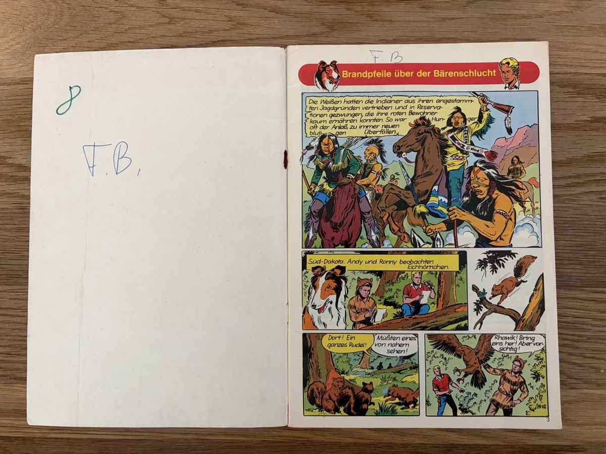 Fumetti: Bessy-Sammlung, 36 Doppelbänder, 2. Auflage – Usato da Bern venduto da dalmaxxi 9