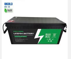 LiFePo 4 200 AH Batterie mit Bluetooth (Neu OVP)