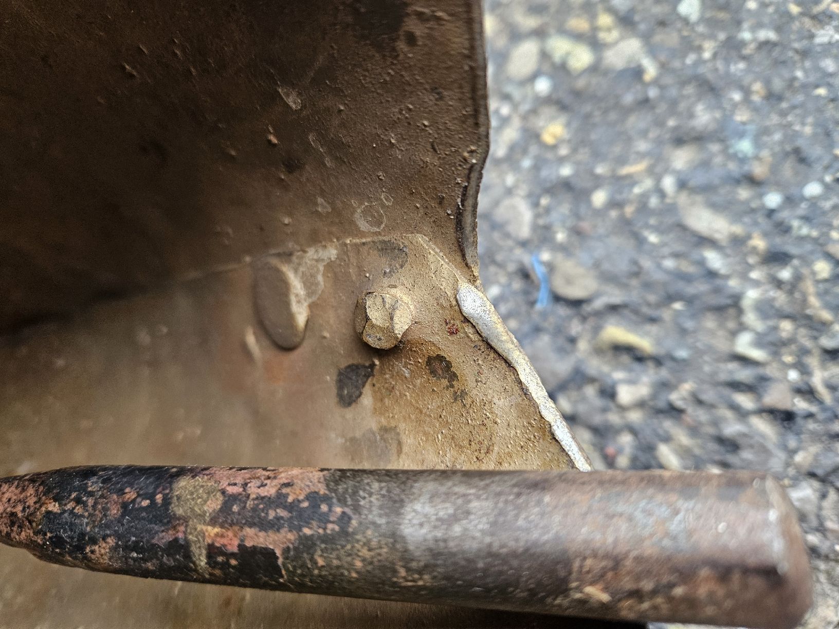 Campanacci mucche: Schelle mattle? – Usato da Schwellbrunn venduto da Rosaroterpanter 8