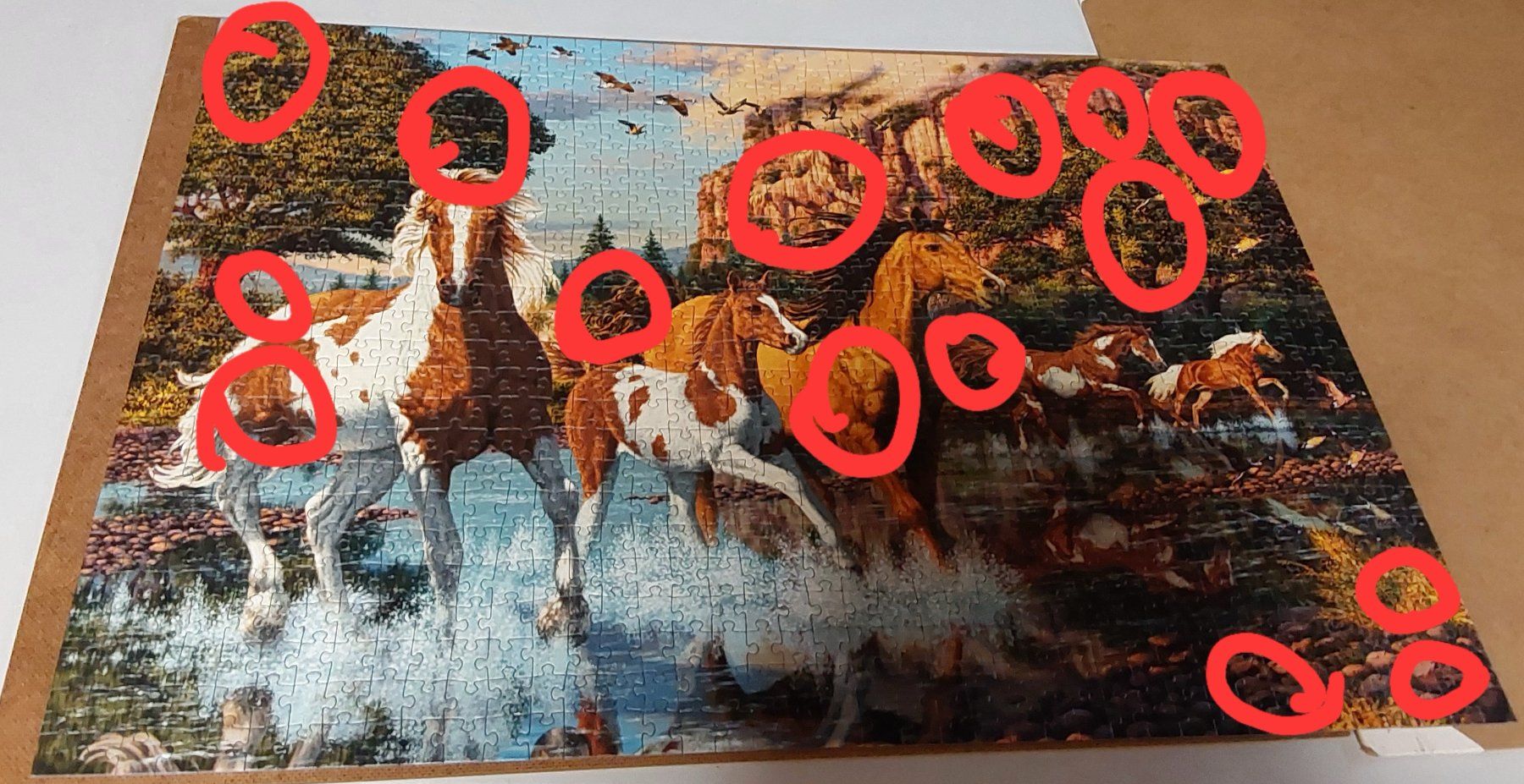 Puzzles: Puzzle de 1000 pièces avec chevaux – Gebraucht aus Montmollin von islachat 1