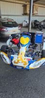 Rennkart Praga + Anhänger, Zubehör / Kart Praga + remorque