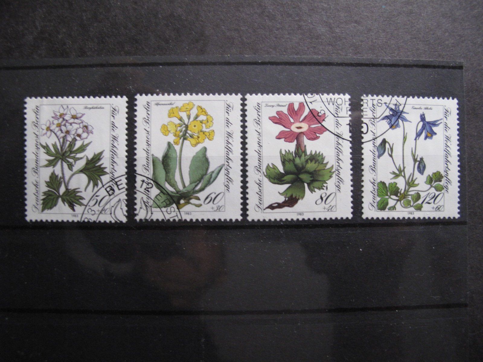 Tutti i francobolli: Berlin 1983 Gefährdete Alpenblumen – Usato da Wil SG venduto da fva01