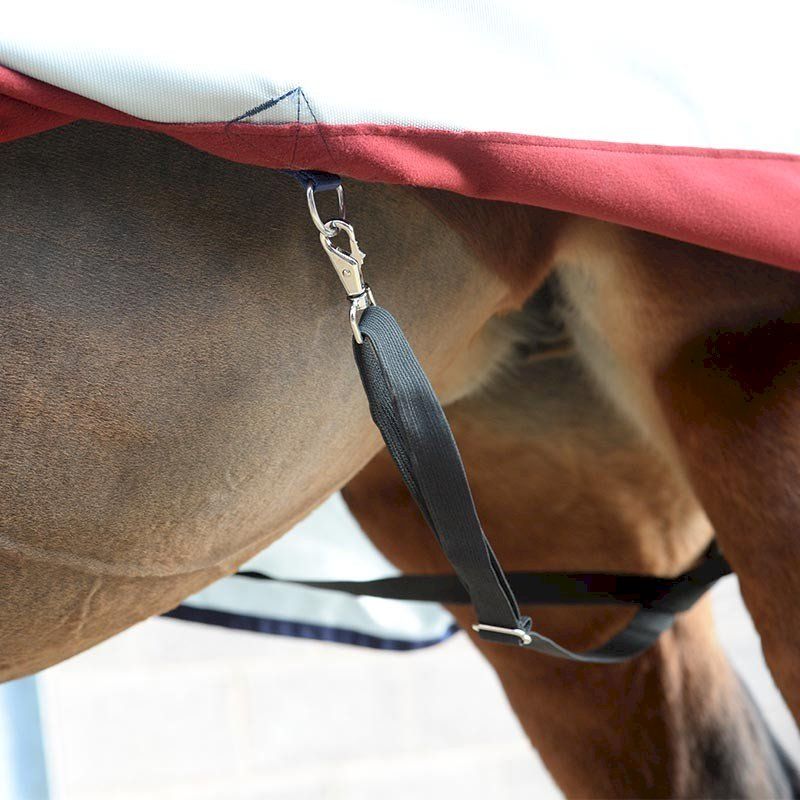 Coperte & Accessori: Bucas Power Turnout Light High Neck 145 – Nuovo e nell'imballaggio originale da Bottighofen venduto da zaap 6