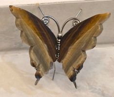 Iron Tigerauge Schmetterling