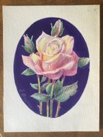 Rose 2èmepar Ernest Becker