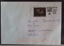 AB32) 2005, WebStamp Schmetterling auf Brief