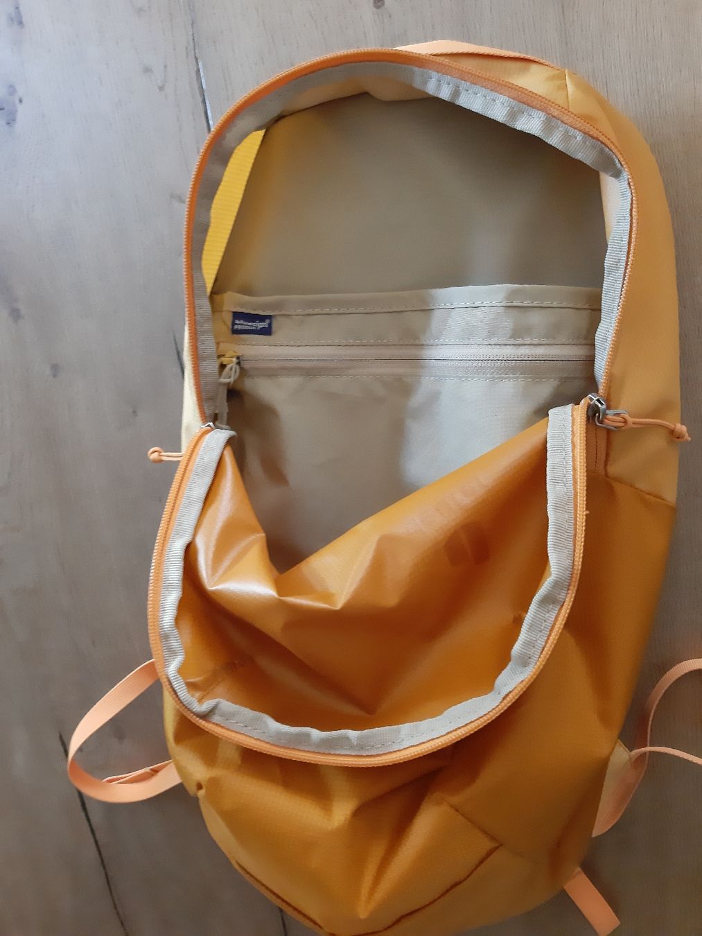 Deuter Zaini: deuter Rucksack – Usato da Guntershausen venduto da Senn01 3