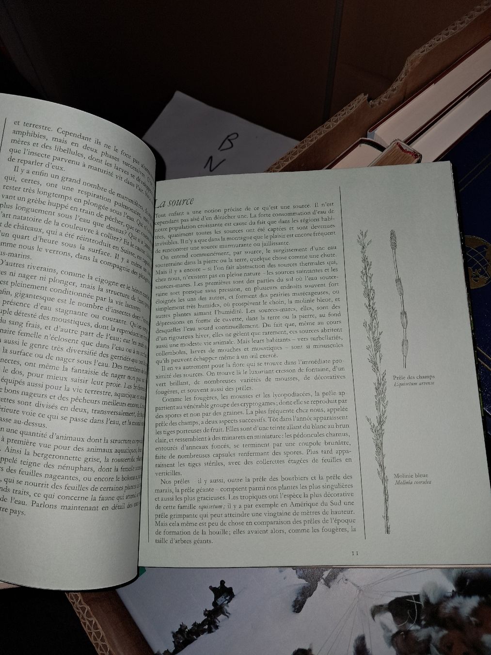Bücher: Cette nature qui nous entoure – Gebraucht aus Le locle von juliensaran 2