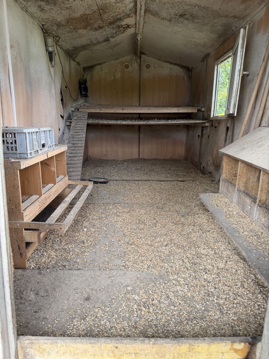 Gabbie, trasporto & Sicurezza: Hühnerstall mobil Bauwagen – Difettoso da Deitingen venduto da RK68 3
