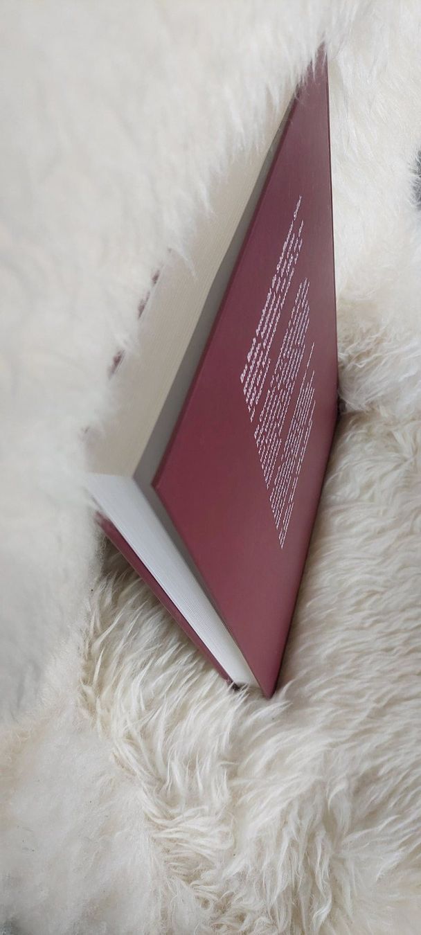 Libri: Buch Schaffhauser Spitalgeschichte – Nuovo (secondo la descrizione) da Schaffhausen venduto da Robuco_93 4