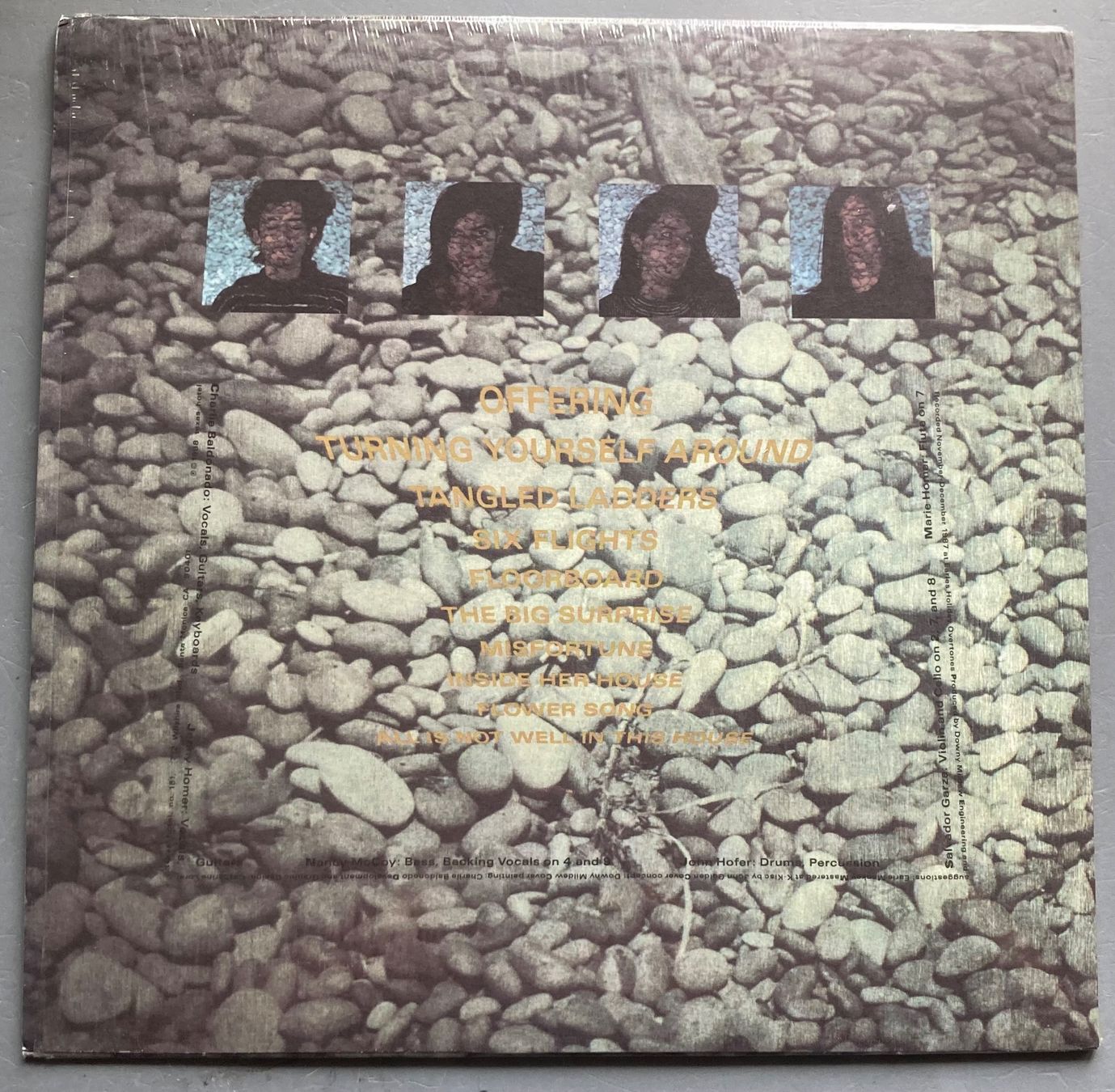 Dischi in vinile: DOWNY MILDEW - MINCING STEPS – Usato da Poliez-Pittet venduto da Newtown-Records 1