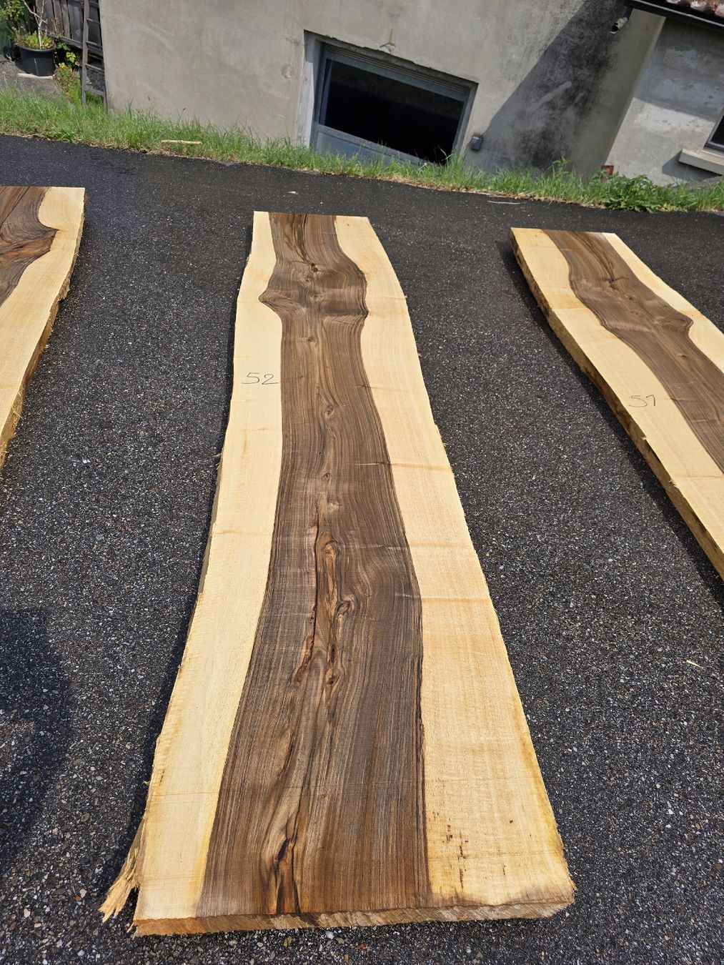 Articoli in legno: Nussbaumstamm frisch – Nuovo (secondo la descrizione) da Ramsei venduto da Waelchris 4