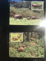 WWF Gabun 1988 Waldelefant Satz Maximumkarten